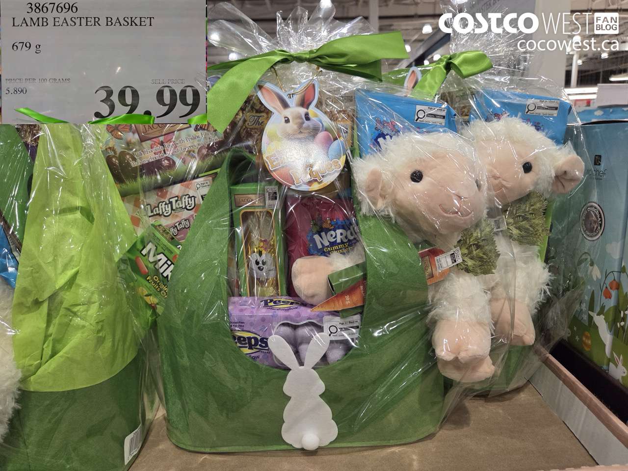 3867696 LAMB EASTER BASKET 679G $39.99