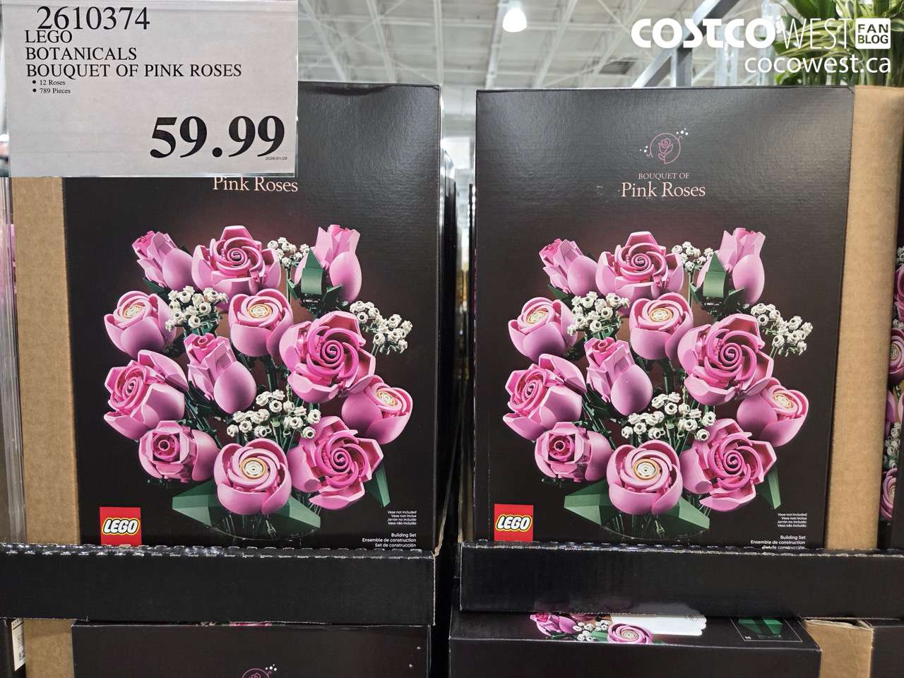 2610374 LEGO BOTANICALS BOUQUET OF PINK ROSES $59.99