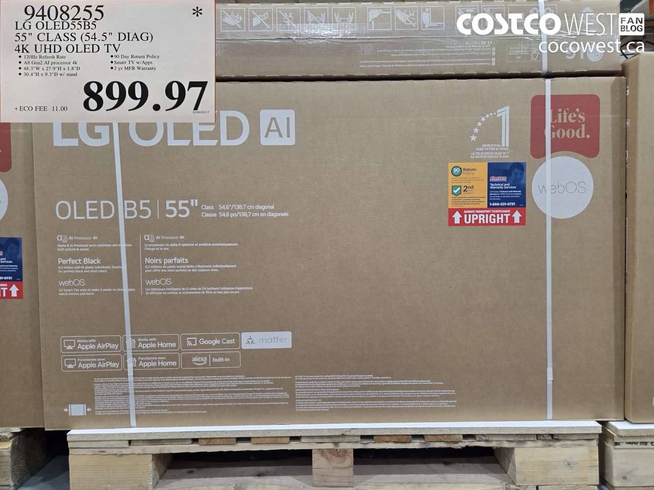 9408255 LG OLED55B5 55