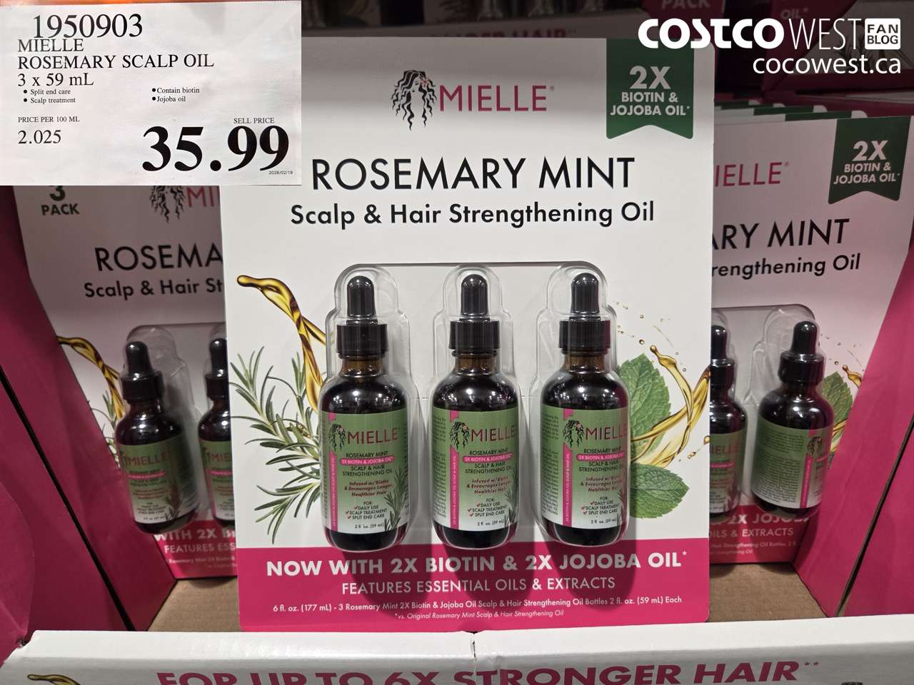 1950903 MIELLE ROSEMARY SCALP OIL 3 x 59 ML $35.99