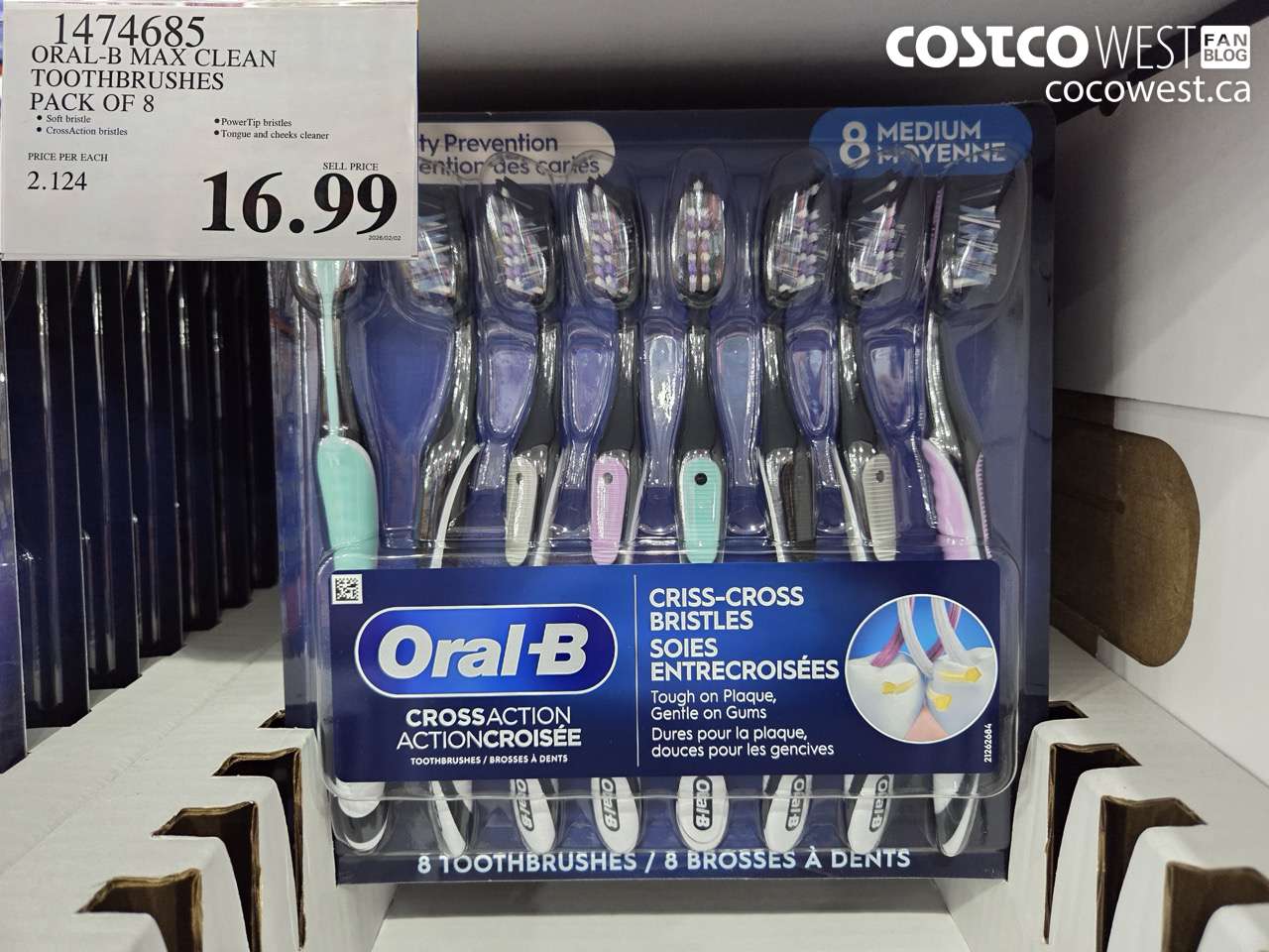 1474685 ORAL-B MAX CLEAN TOOTHBRUSHES PACK OF 8 $16.99