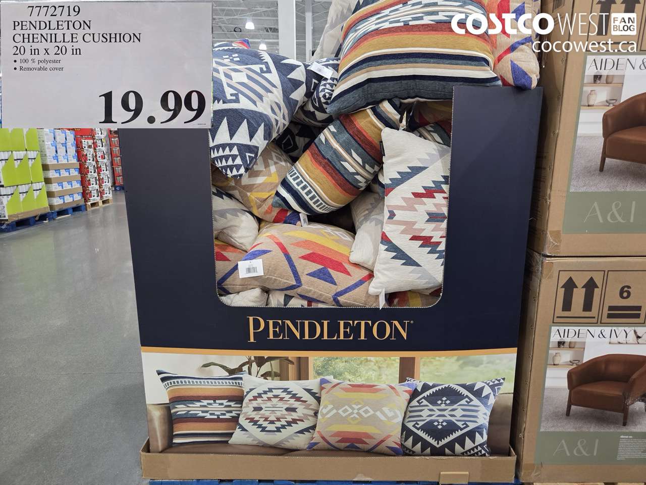 7772719 PENDLETON CHENILLE CUSHION 20 IN X 20 IN $19.99
