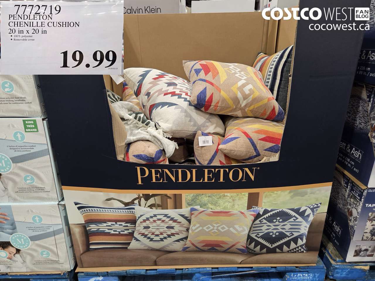 17727219 PENDLETON CHENILLE CUSHION 20 IN X 20 IN $19.99