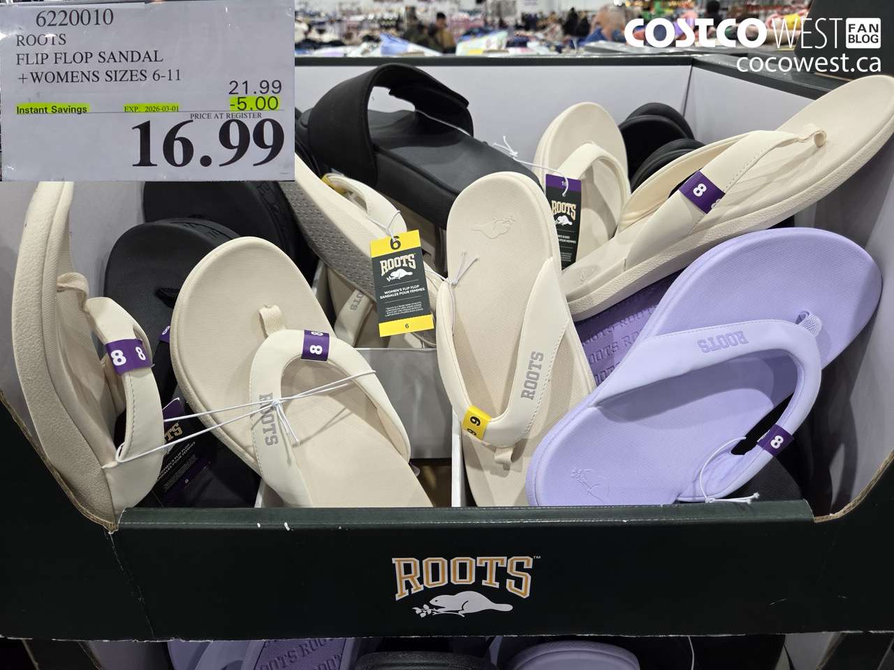 6220010 ROOTS FLIP FLOP SANDAL + WOMENS SIZES 6-11 ($5.00 INSTANT SAVINGS EXPIRES ON 2026-03-01) $16.99