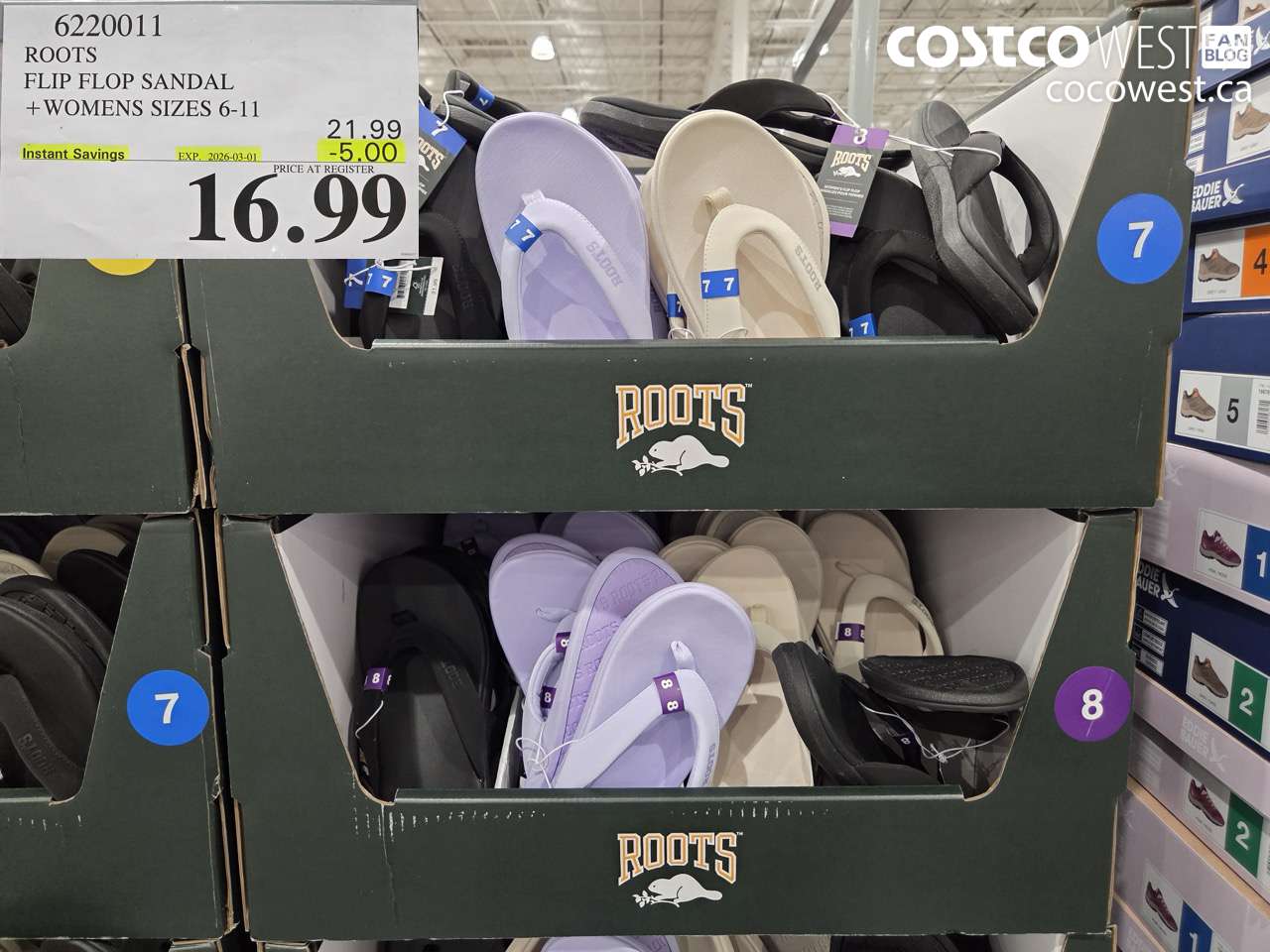 6220011 ROOTS FLIP FLOP SANDAL + WOMENS SIZES 6-11 ($5.00 INSTANT SAVINGS EXPIRES ON 2026-03-01) $16.99