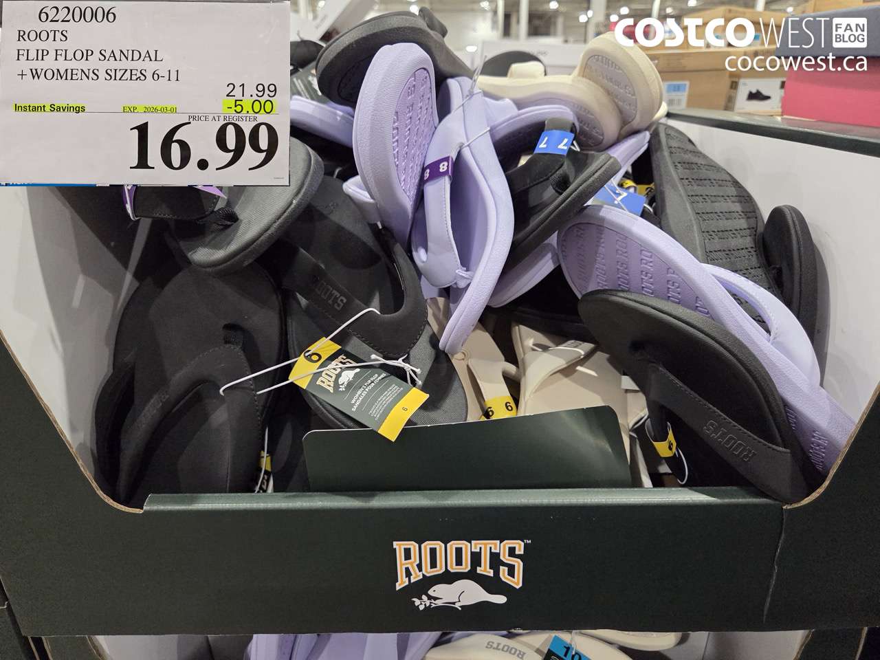 6220006 ROOTS FLIP FLOP SANDAL + WOMENS SIZES 6-11 ($5.00 INSTANT SAVINGS EXPIRES ON 2026-03-01) $16.99