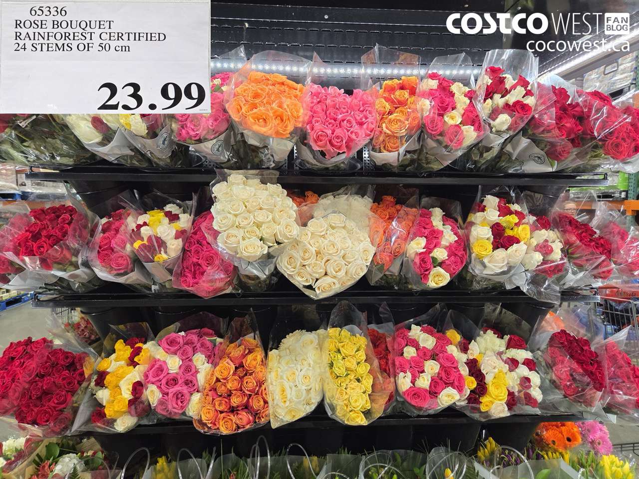 65336 ROSE BOUQUET RAINFOREST CERTIFIED 24 STEMS OF 50 CM $23.99