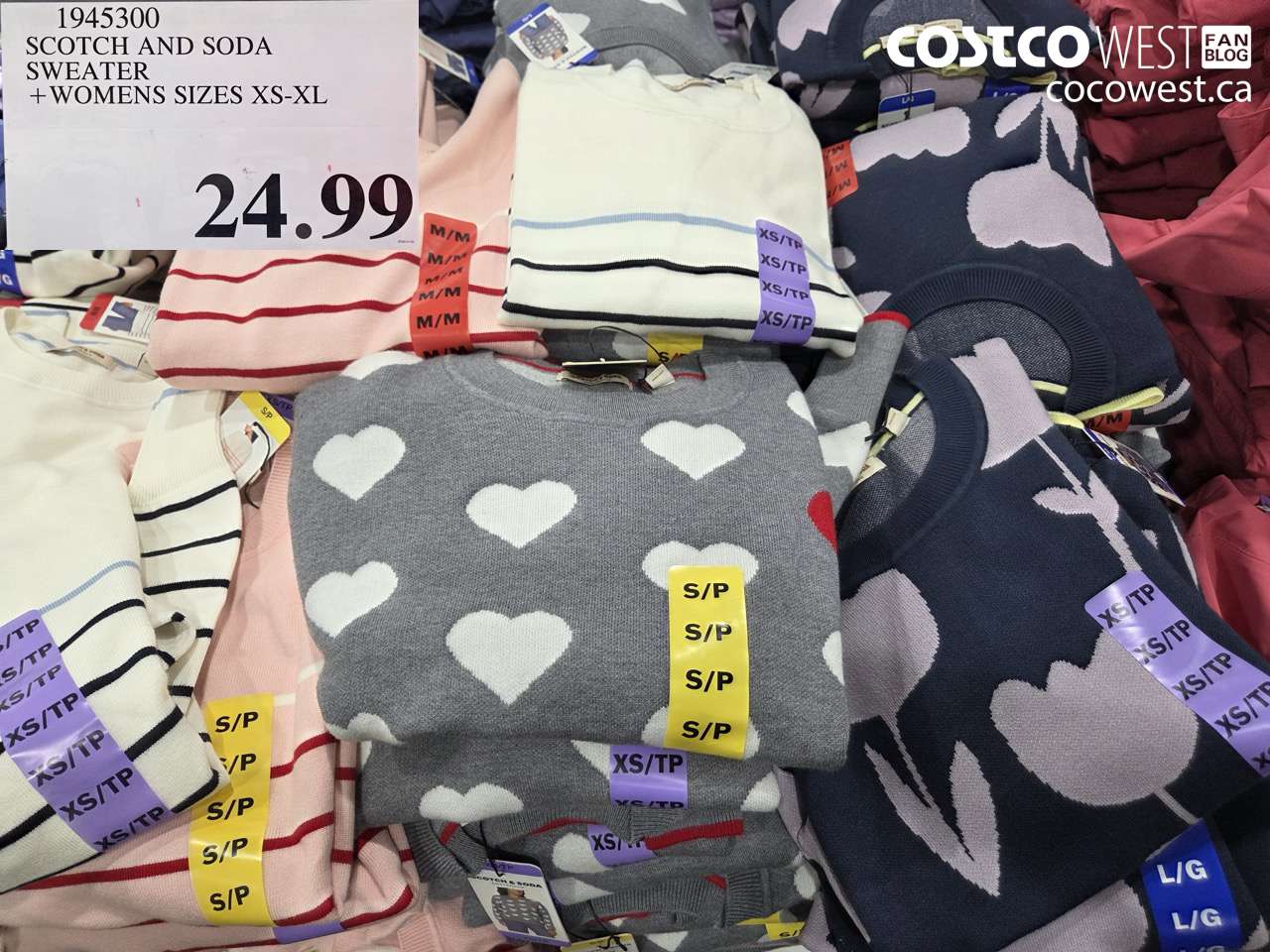 1945300 SCOTCH AND SODA SWEATER WOMENS SIZES XS-XL $24.99