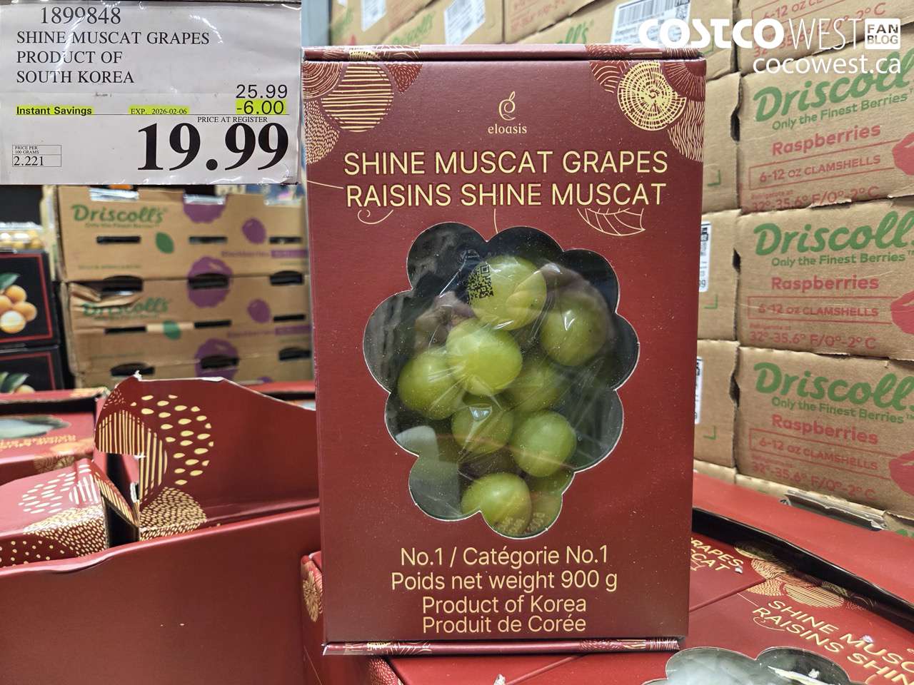 1899848 SHINE MUSCAT GRAPES PRODUCT OF SOUTH KOREA ($6.00 INSTANT SAVINGS EXPIRES ON 2026-02-06) $19.99