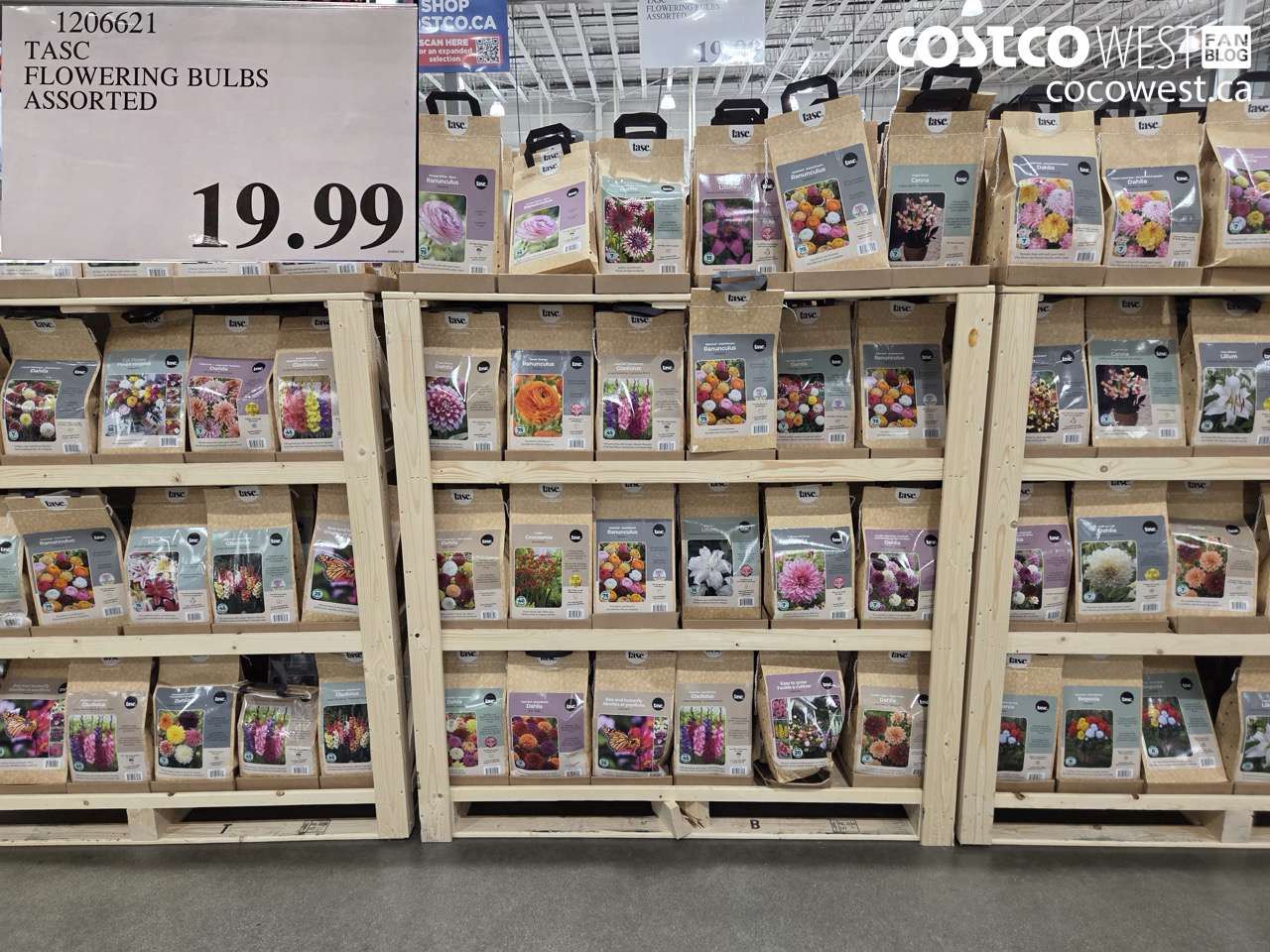 1206621 TASC FLOWERING BULBS ASSORTED $19.99