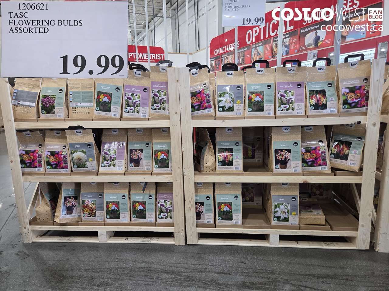 1206621 TASC FLOWERING BULBS ASSORTED $19.99