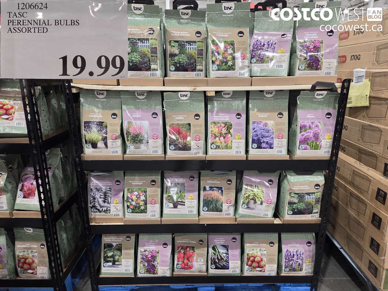 120624 TASC PERENNIAL BULBS ASSORTED $19.99