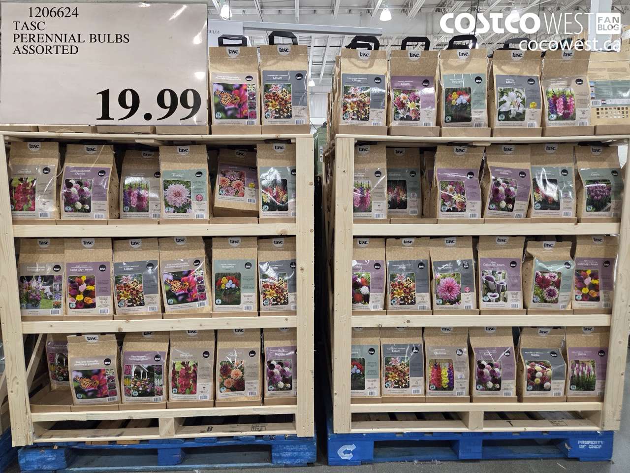 1206624 TASC PERENNIAL BULBS ASSORTED $19.99