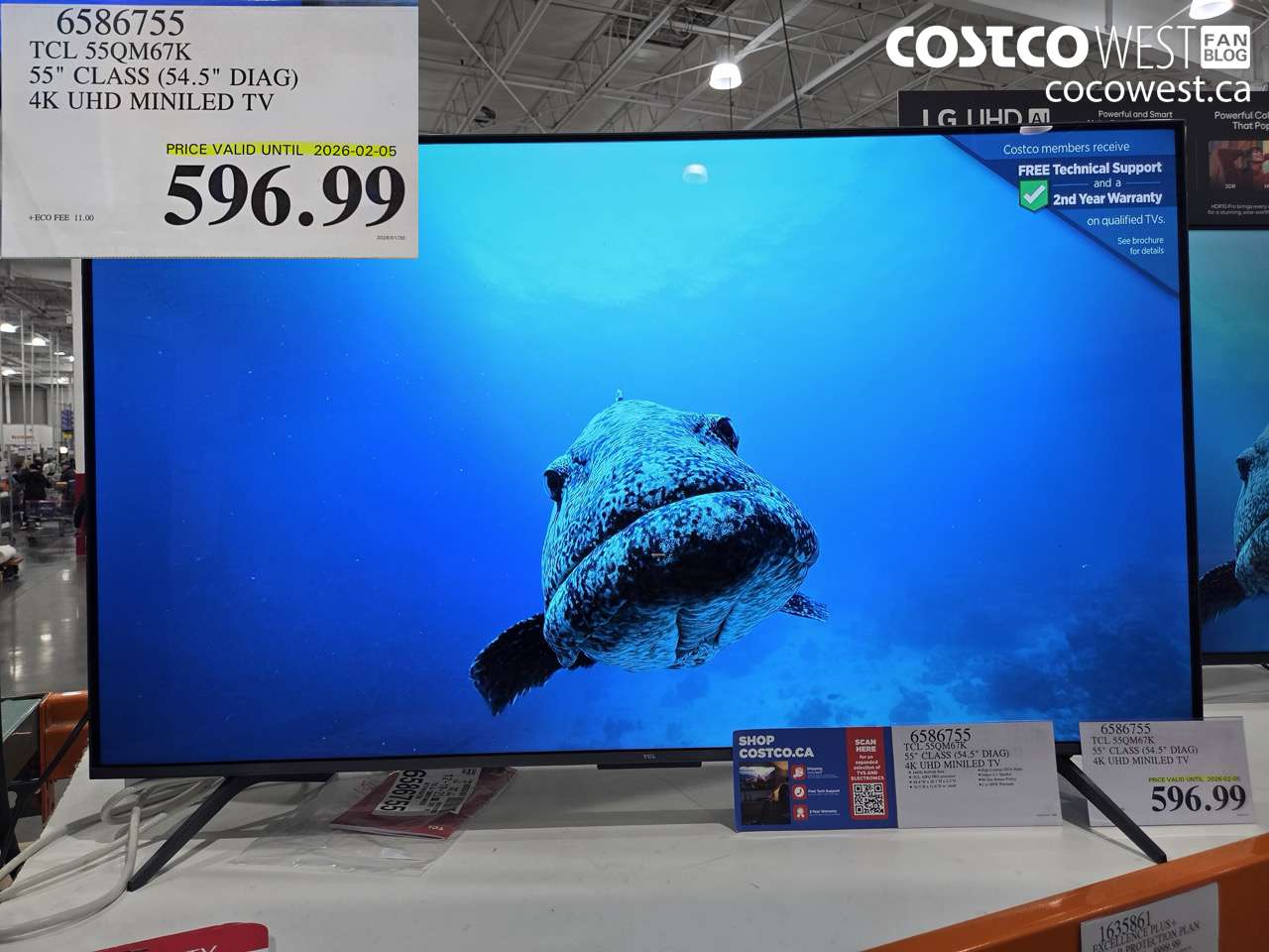 6586755 TCL 55QM67K 55