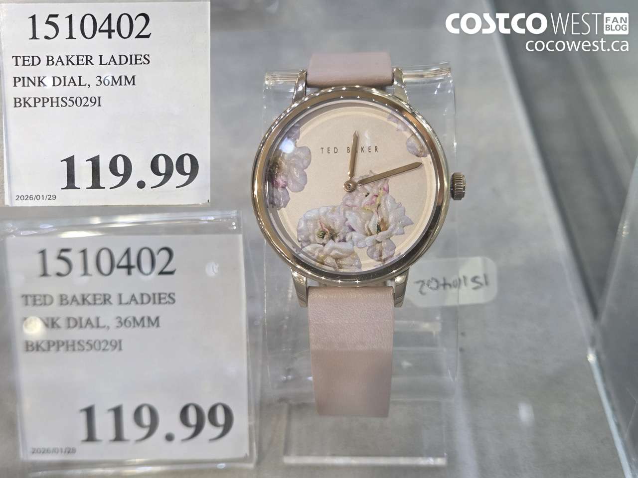 1510402 TED BAKER LADIES PINK DIAL, 36MM BKPPHS5029I $119.99