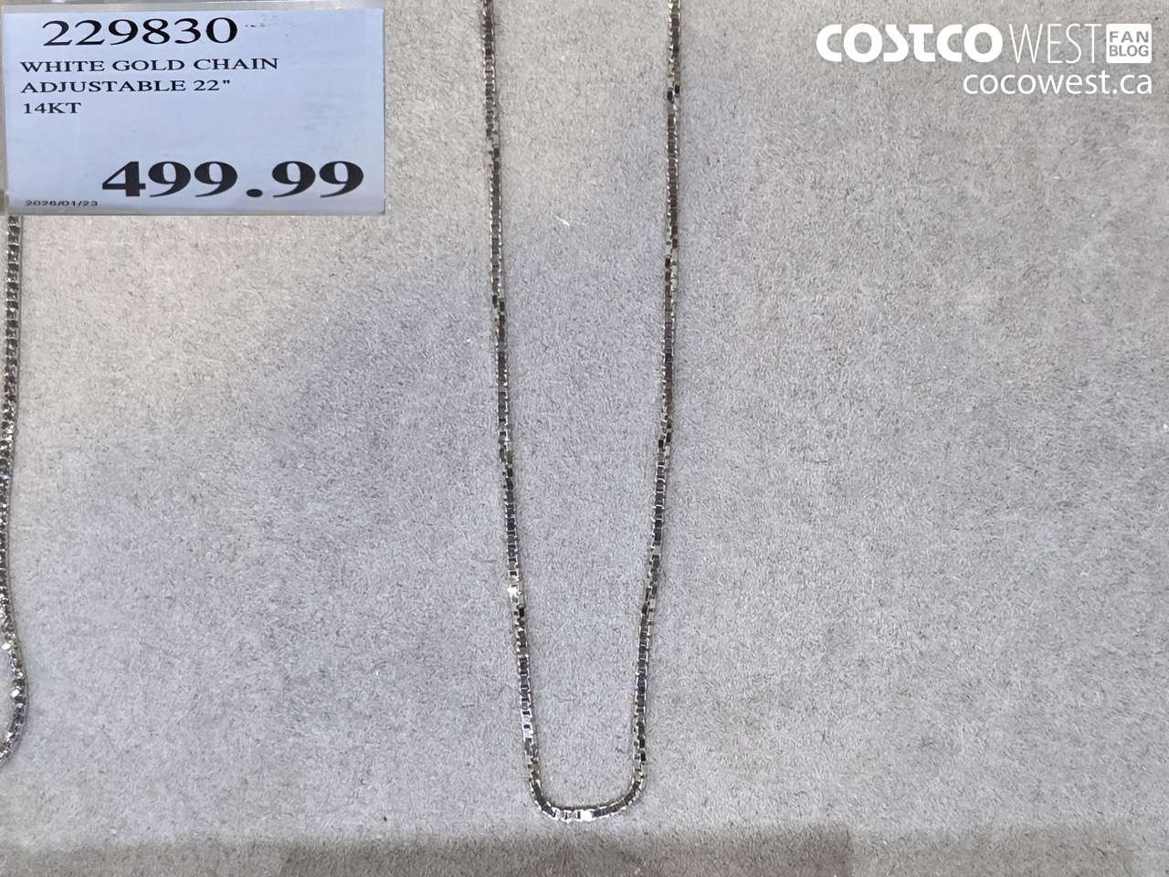 229830 WHITE GOLD CHAIN ADJUSTABLE 22