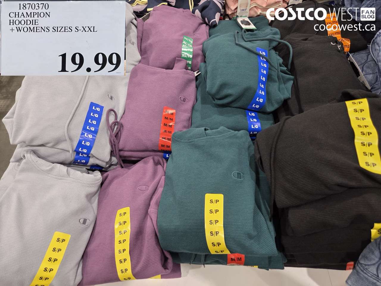 1870370 CHAMPION HOODIE +WOMENS SIZES S-XXL $19.99