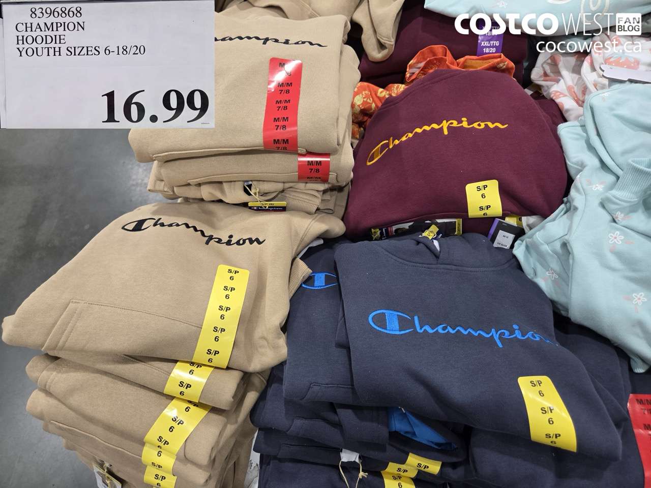 8396868 CHAMPION HOODIE YOUTH SIZES 6-18/20 $16.99