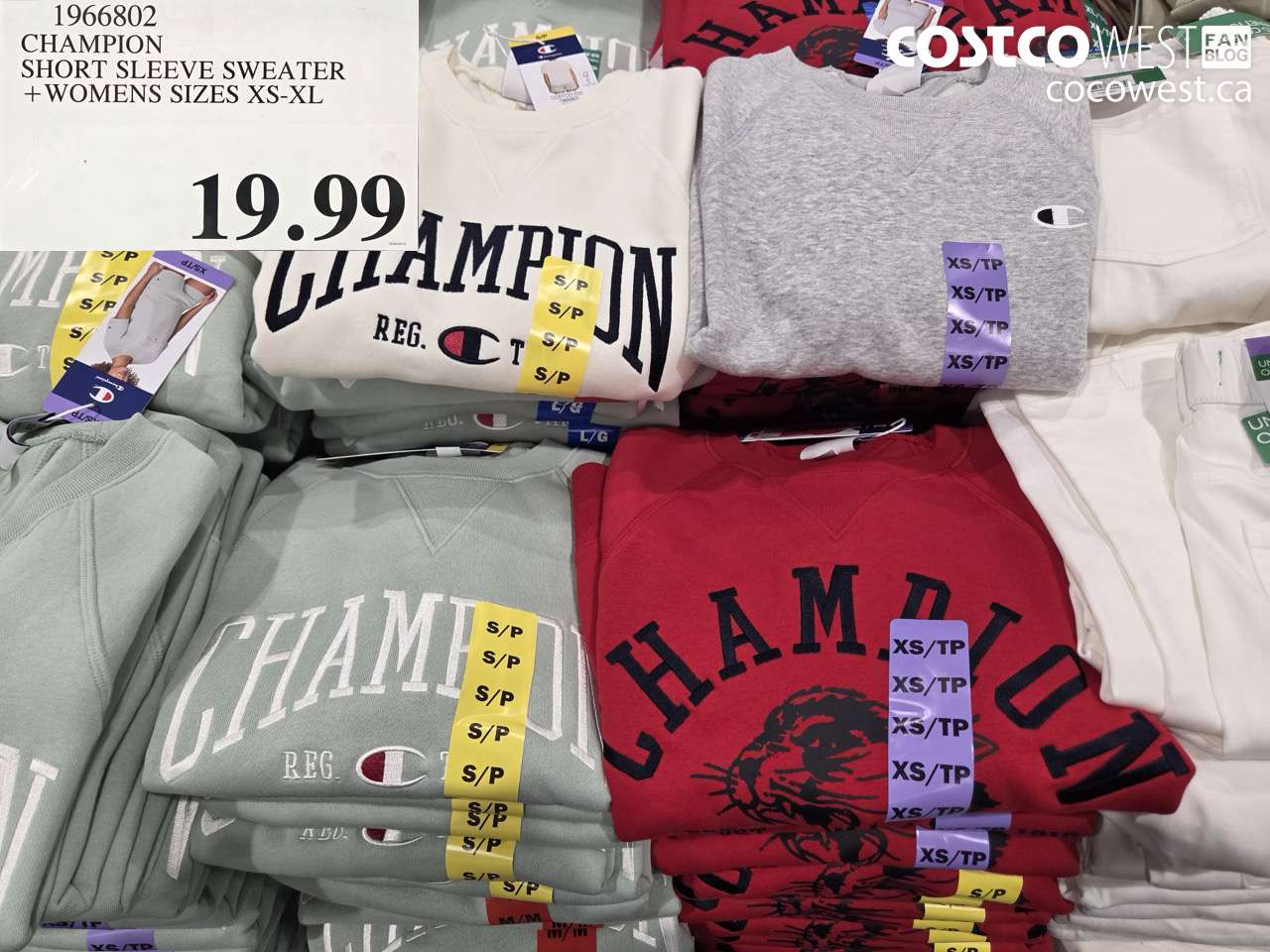 1966802 CHAMPION SHORT SLEEVE SWEATER + WOMENS SIZES XS-XL $19.99