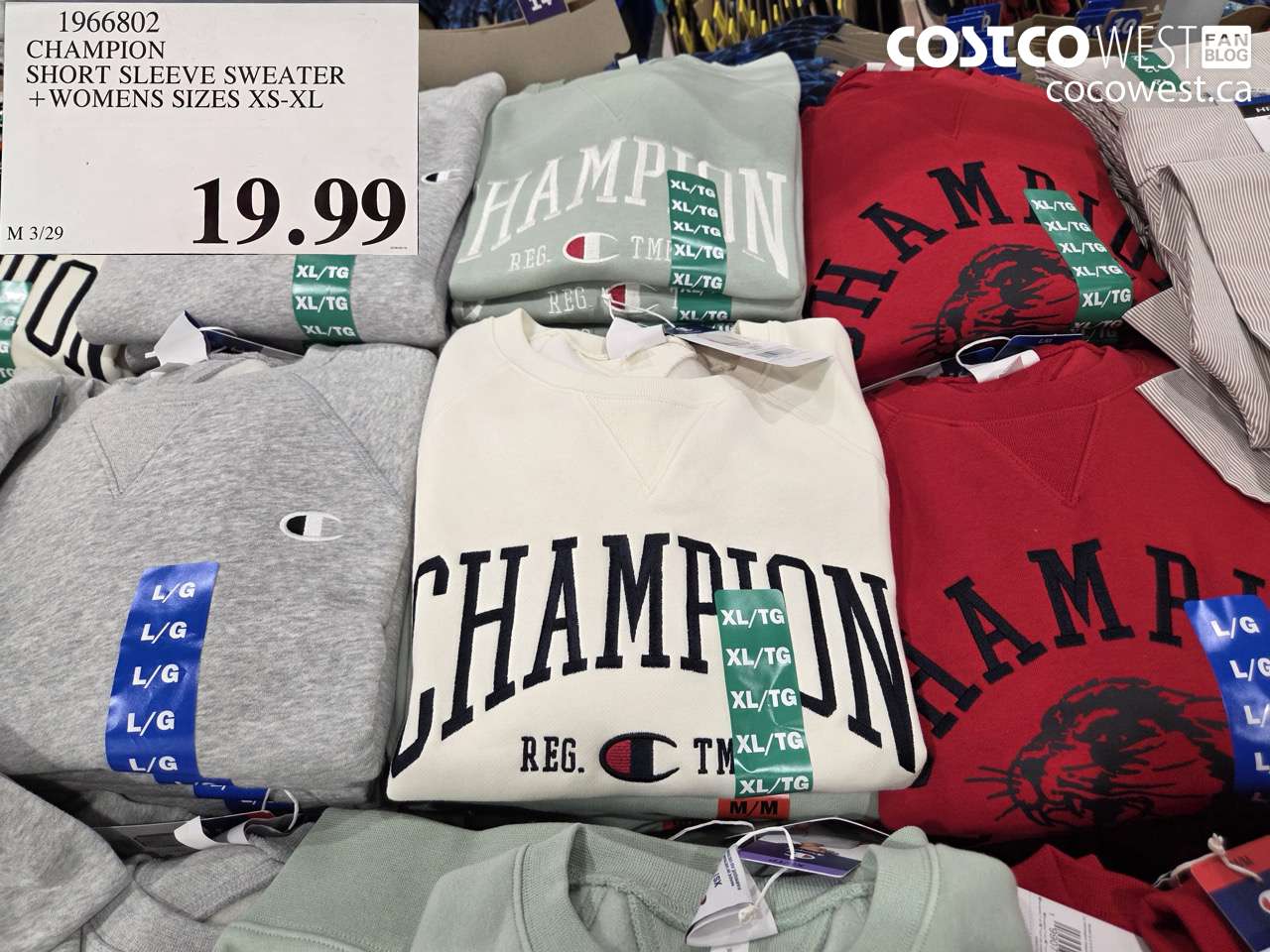 1966802 CHAMPION SHORT SLEEVE SWEATER + WOMENS SIZES XS-XL $19.99