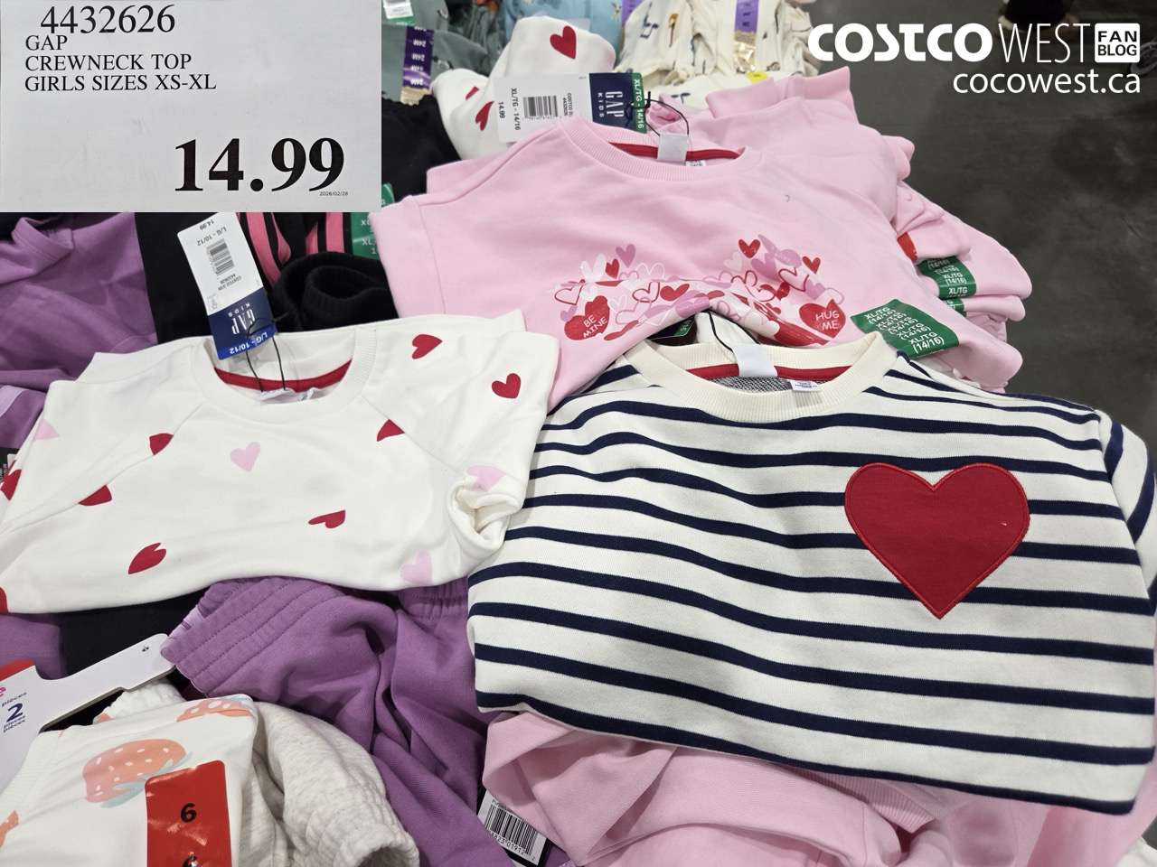 4432626 GAP CREWNECK TOP GIRLS SIZES XS-XL $14.99