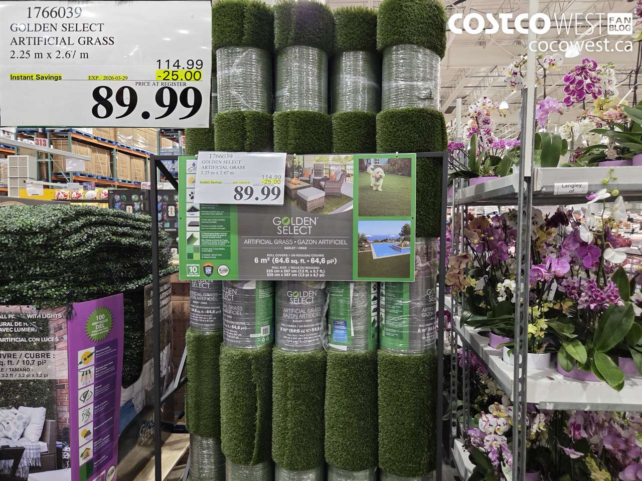 1766039 GOLDEN SELECT ARTIFICIAL GRASS 2.25 M X 2.67 M ($25.00 INSTANT SAVINGS EXPIRES ON 2026-03-29) $89.99