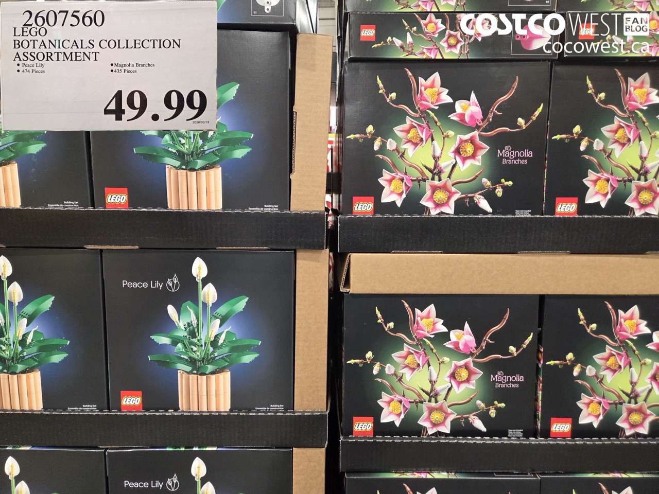2607560 LEGO BOTANICALS COLLECTION ASSORTMENT $49.99