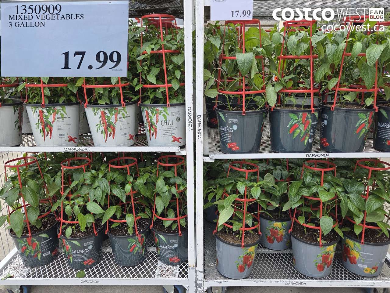 1350909 MIXED VEGETABLES 3 GALLON $17.99