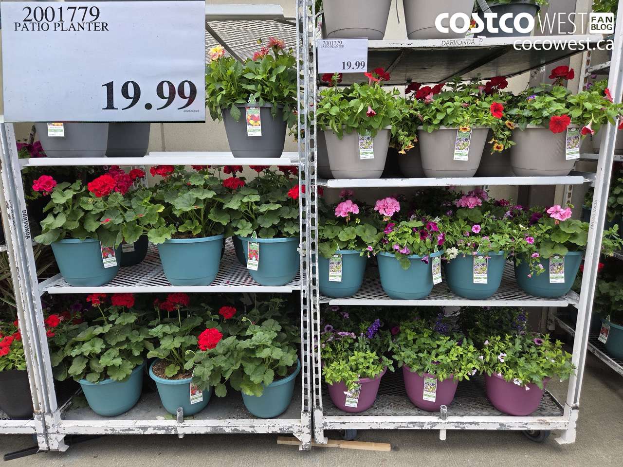 2001779 PATIO PLANTER $19.99