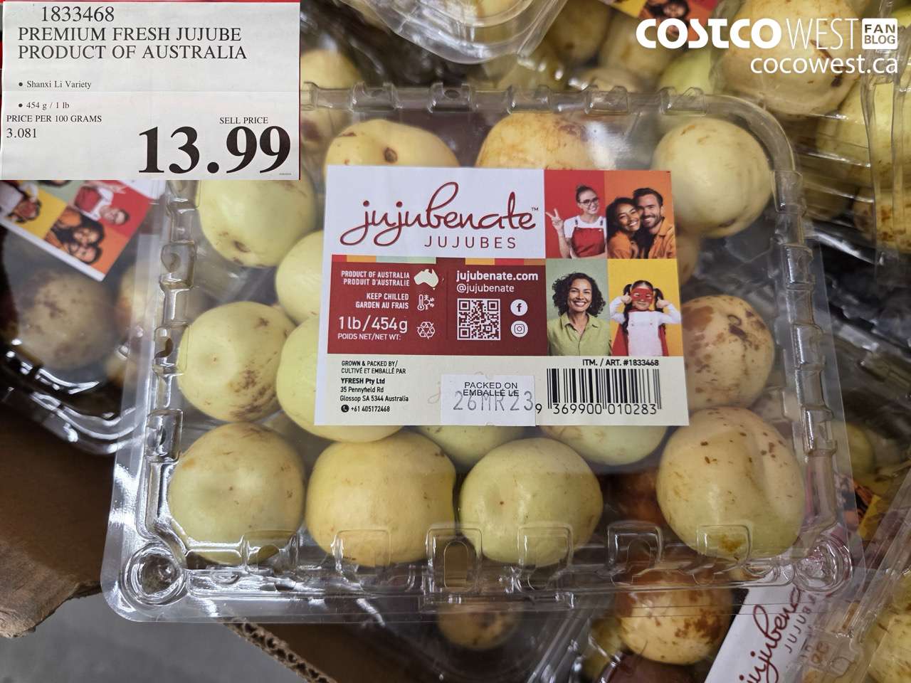 1833468 PREMIUM FRESH JUJUBE PRODUCT OF AUSTRALIA $13.99