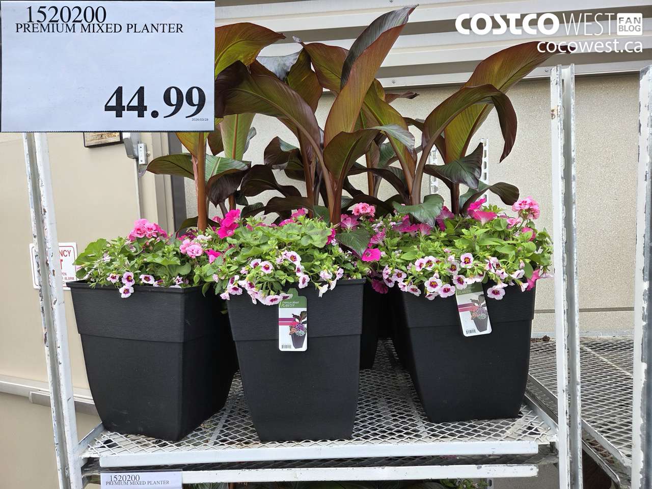 1520200 PREMIUM MIXED PLANTER $44.99