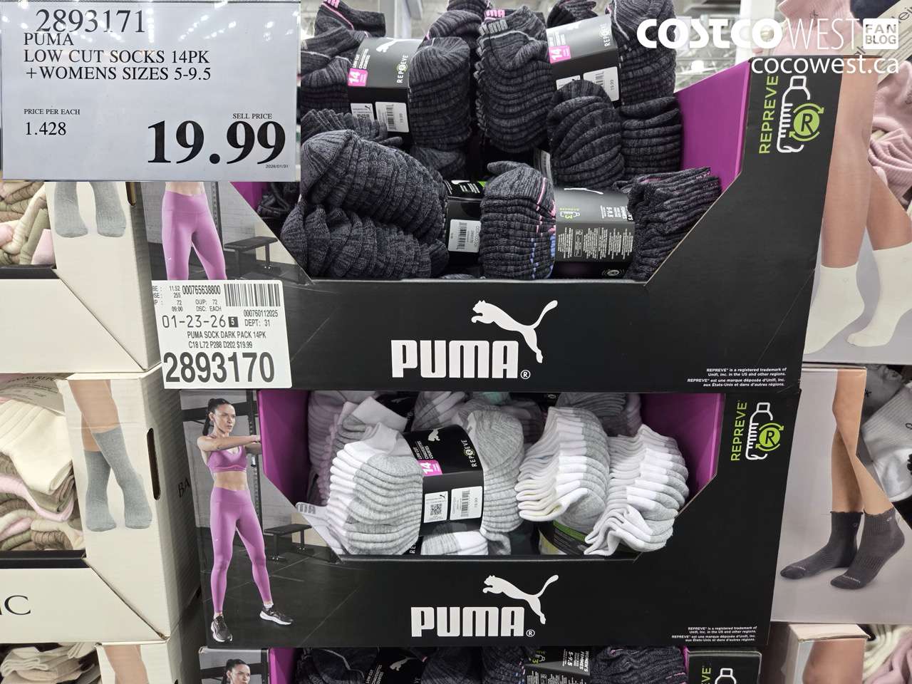 2893171 PUMA LOW CUT SOCKS 14PK + WOMENS SIZES 5-9.5 $19.99