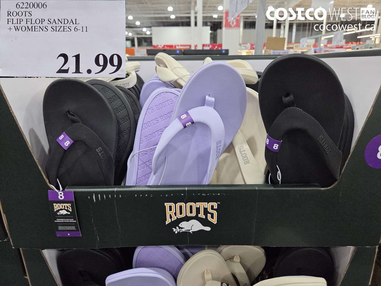 622006 ROOTS FLIP FLOP SANDAL + WOMENS SIZES 6-11 $21.99