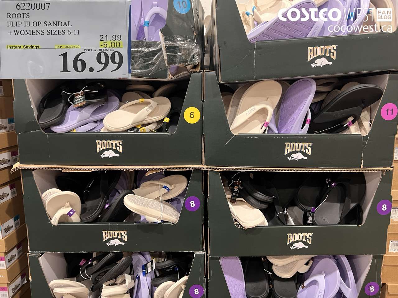 6220007 ROOTS FLIP FLOP SANDAL + WOMENS SIZES 6-11 ($5.00 INSTANT SAVINGS EXPIRES ON 2026-03-29) $16.99