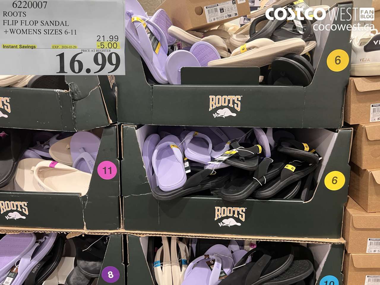 622007 ROOTS FLIP FLOP SANDAL + WOMENS SIZES 6-11 ($5.00 INSTANT SAVINGS EXPIRES ON 2026-03-29) $16.99