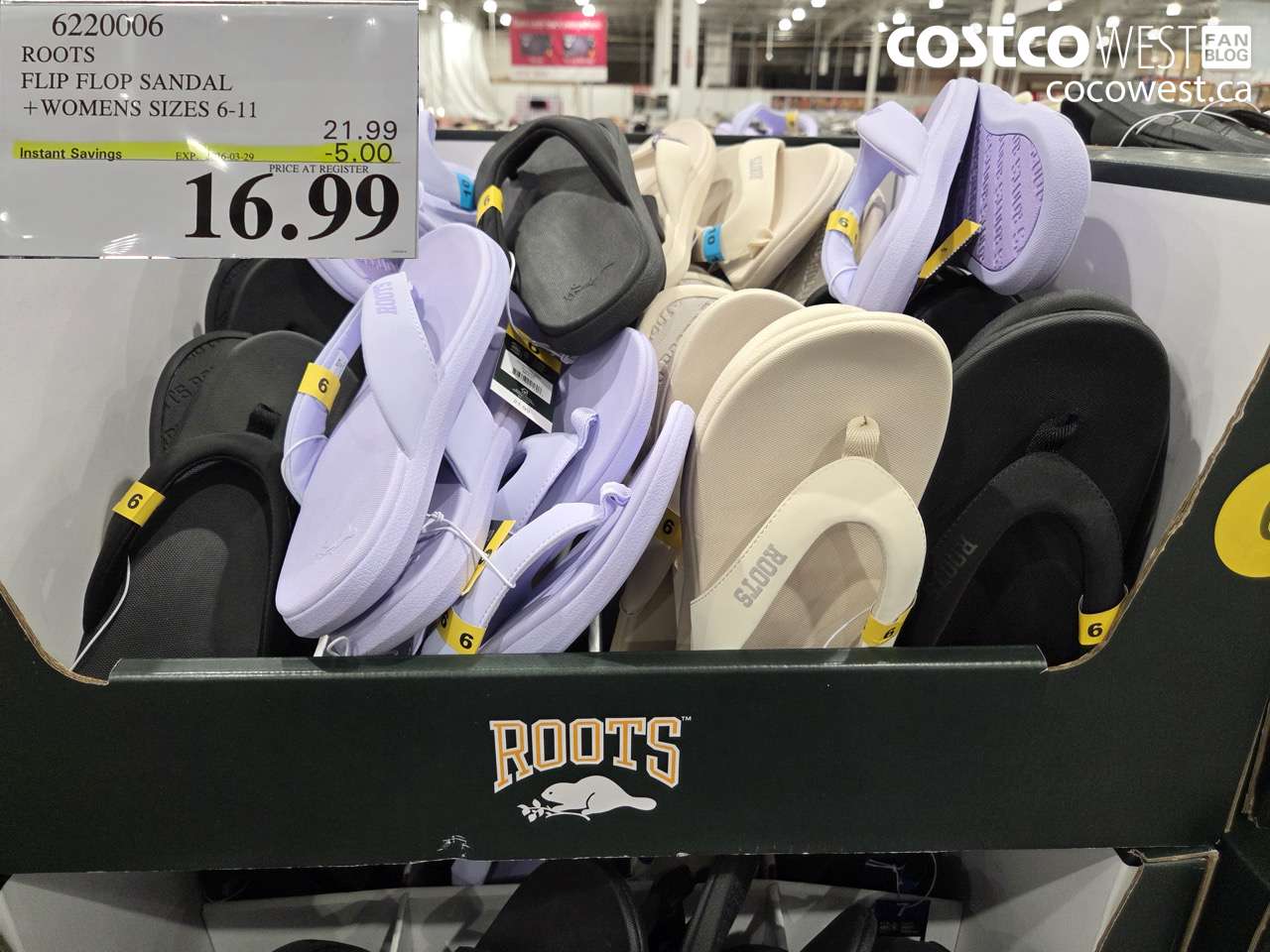 622006 ROOTS FLIP FLOP SANDAL + WOMENS SIZES 6-11 ($5.00 INSTANT SAVINGS EXPIRES ON 2026-03-29) $16.99