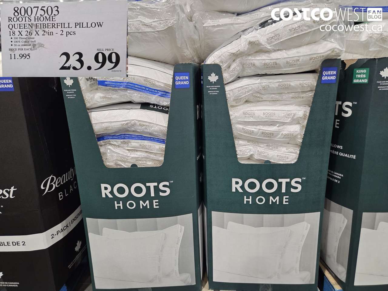 8007503 ROOTS HOME QUEEN FIBERFILL PILLOW 18 X 26 X 2 IN - 2PC $23.99