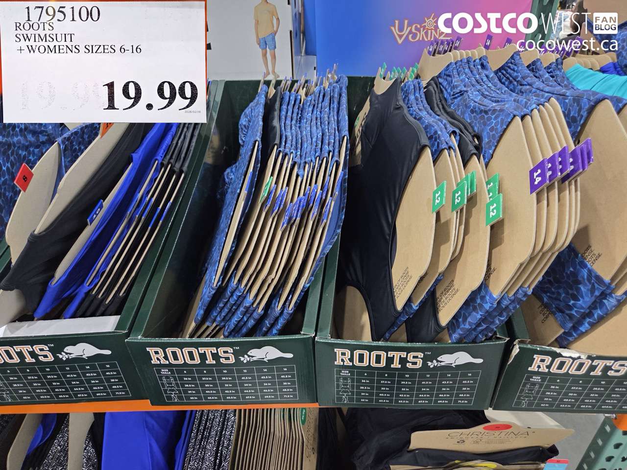 1795100 ROOTS SWIMSUIT + WOMENS SIZES 6-16 $19.99