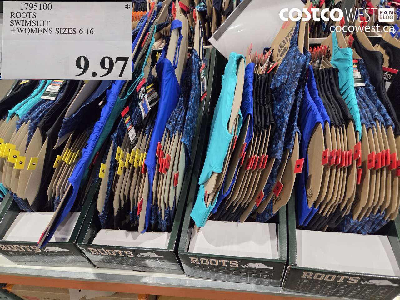 1795100 ROOTS SWIMSUIT + WOMENS SIZES 6-16 $9.97