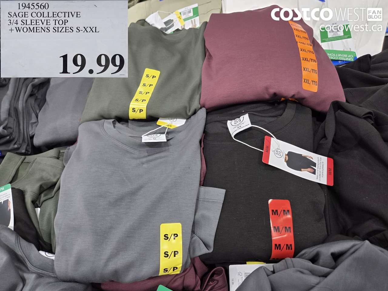 1945560 SAGE COLLECTIVE 3/4 SLEEVE TOP + WOMENS SIZES S-XXL $19.99