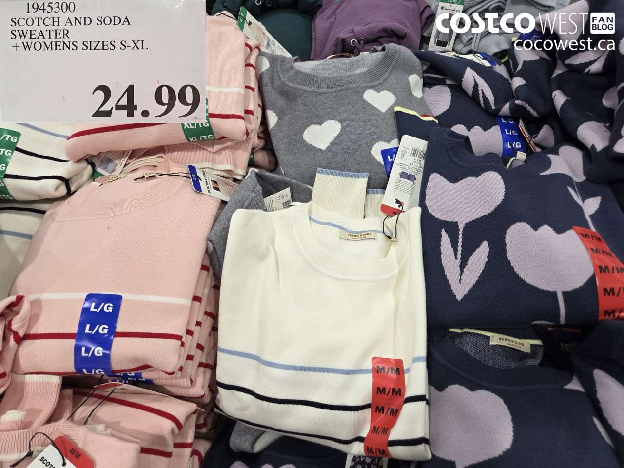 1945300 SCOTCH AND SODA SWEATER + WOMENS SIZES S-XL $24.99