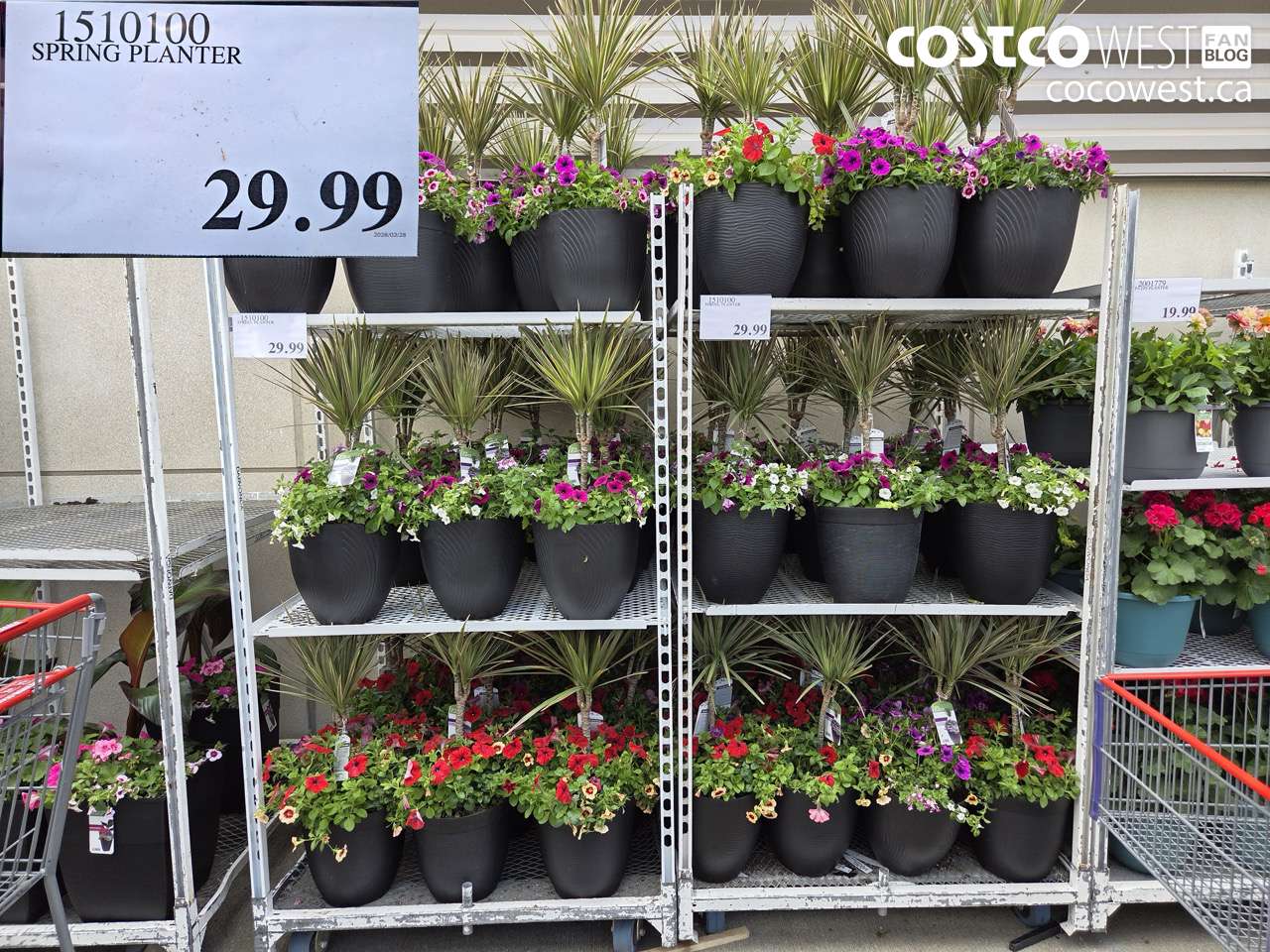 1510100 SPRING PLANTER $29.99