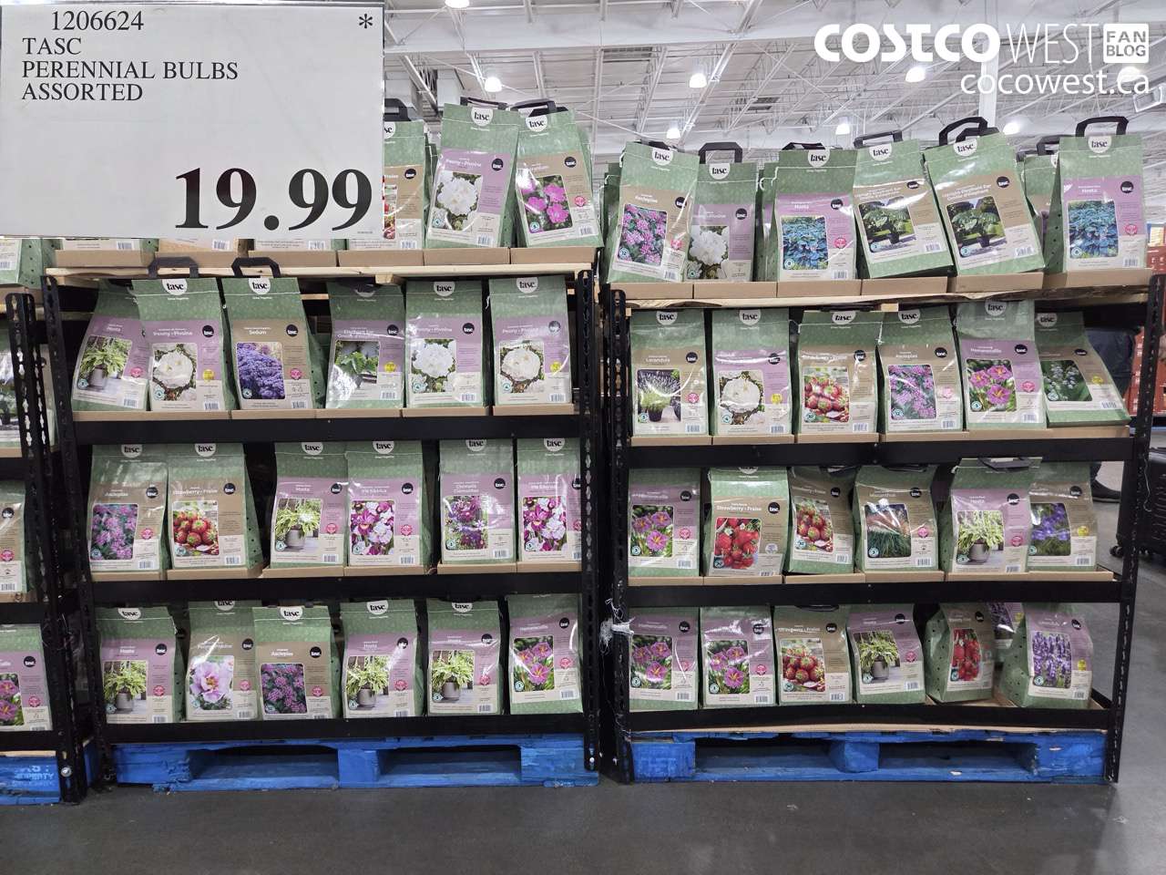 1206624 TASC PERENNIAL BULBS ASSORTED $19.99