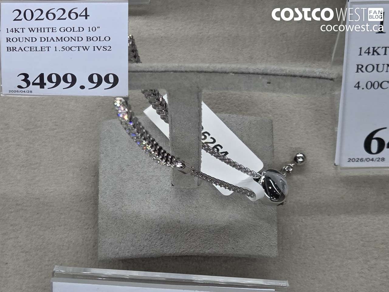 2026264 14KT WHITE GOLD 10