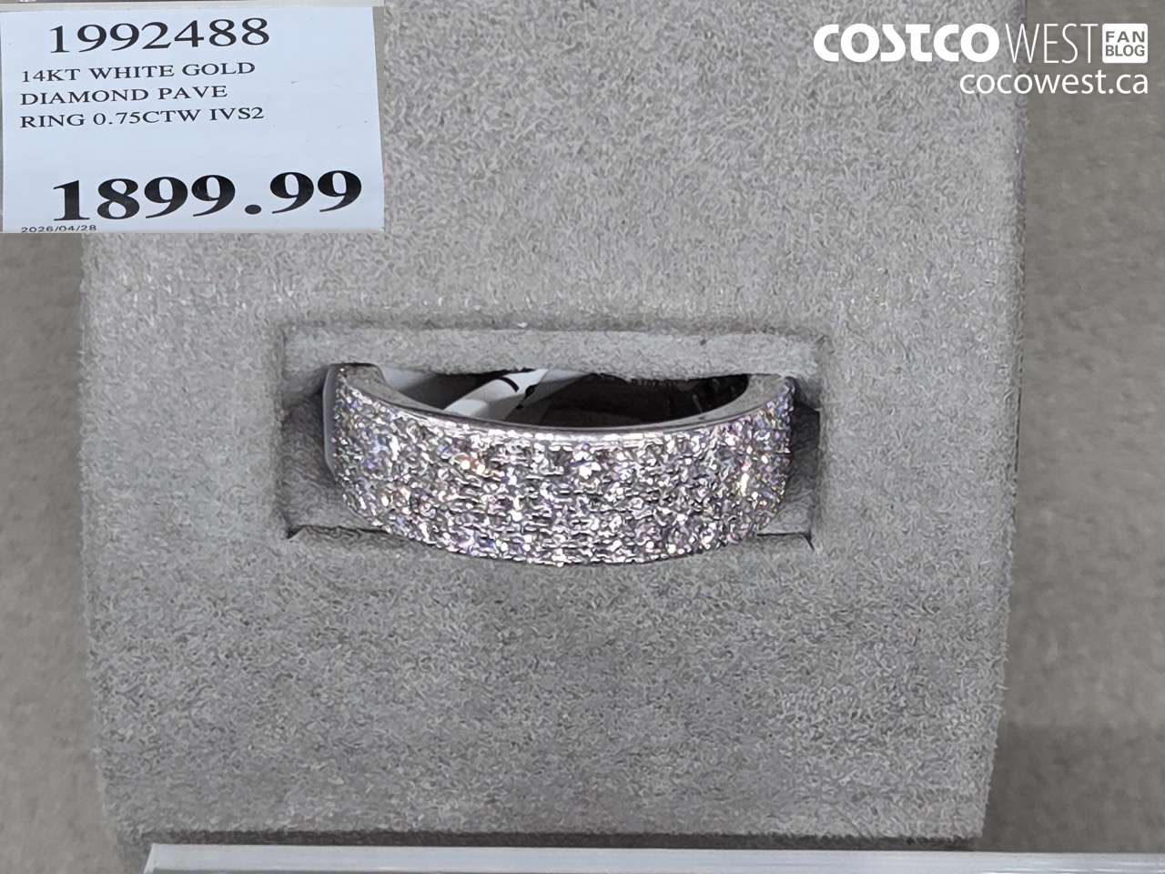 1992488 14KT WHITE GOLD DIAMOND PAVE RING 0.75CTW IVS2 $1899.99