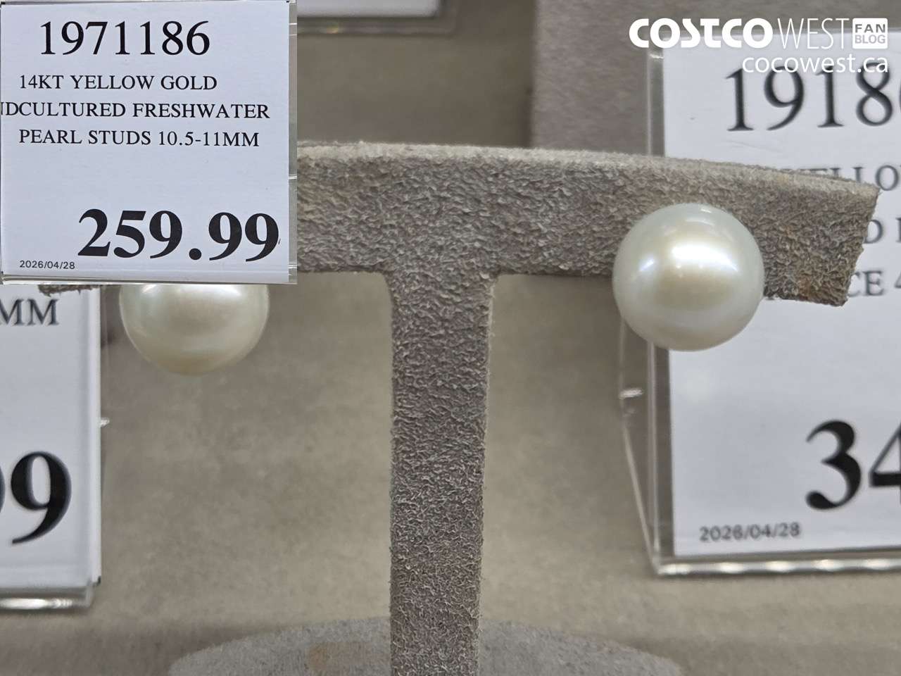 1971186 14KT YELLOW GOLD CULTURED FRESHWATER PEARL STUDS 10.5-11MM $259.99