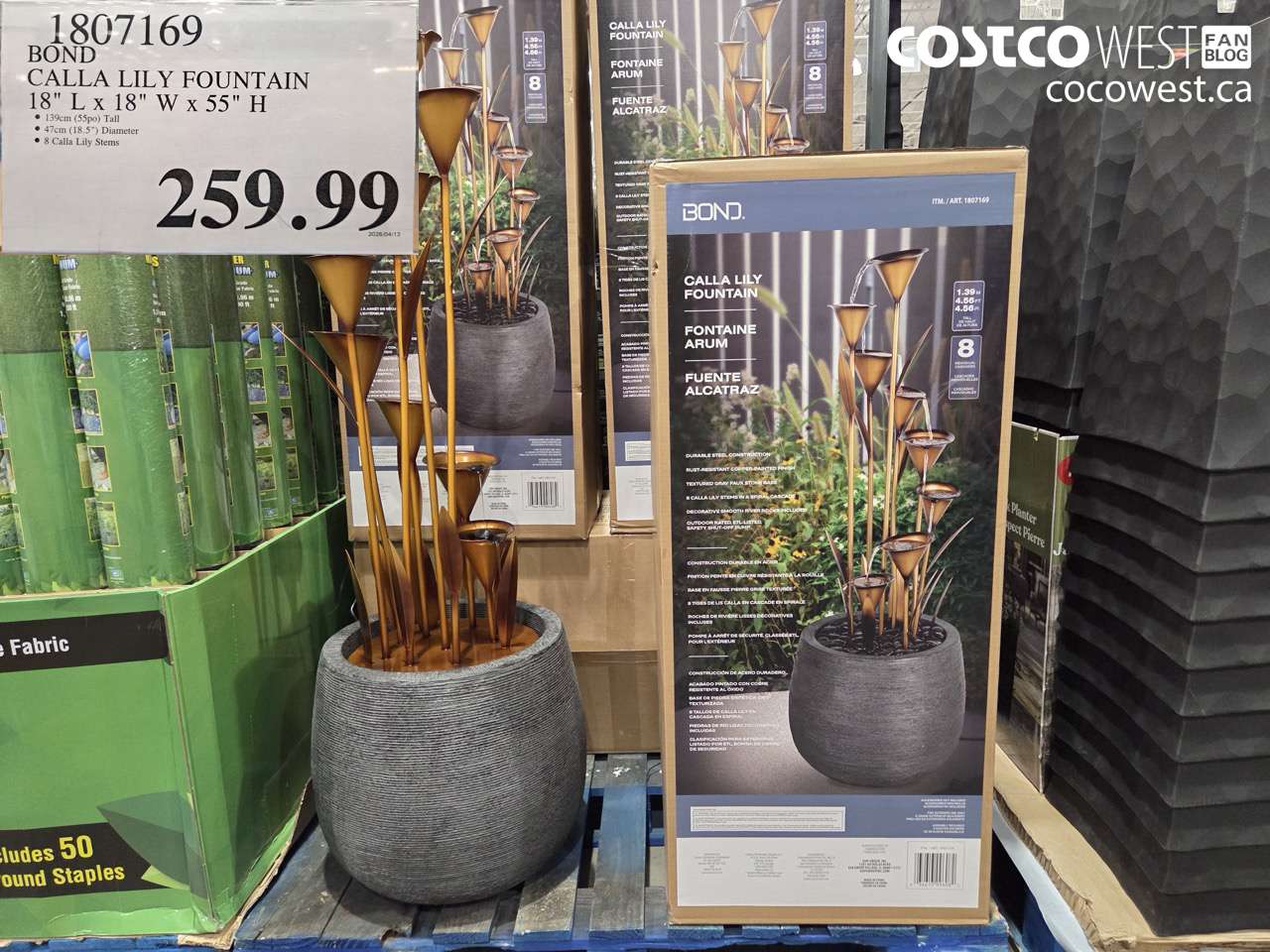 1807169 BOND CALLA LILY FOUNTAIN 18