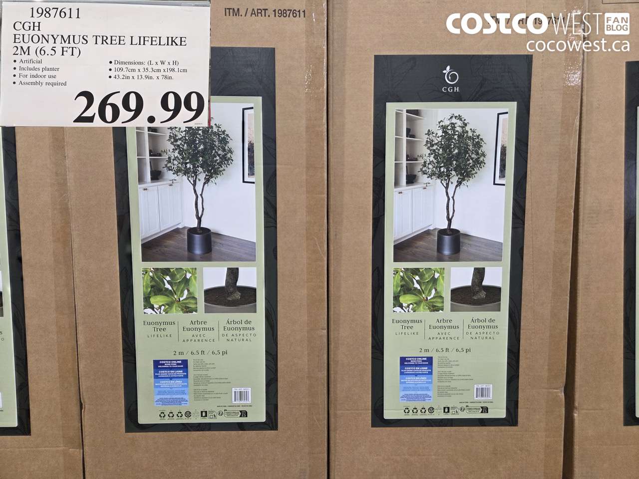 1987611 CGH EUONYMUS TREE LIFELIKE 2M (6.5 FT) $269.99