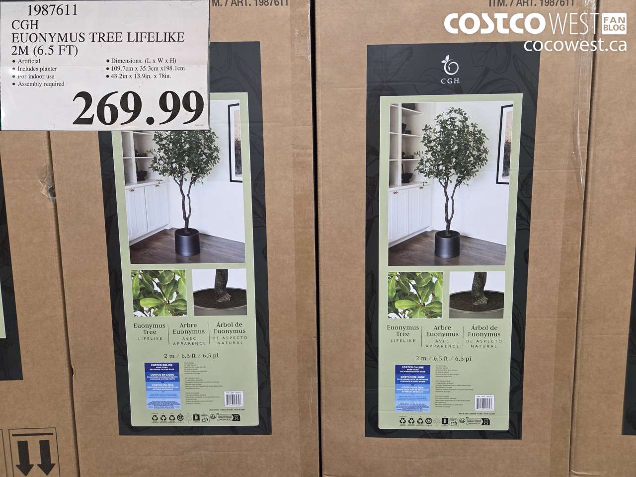 1987611 CGH EUONYMUS TREE LIFELIKE 2M (6.5 FT) $269.99