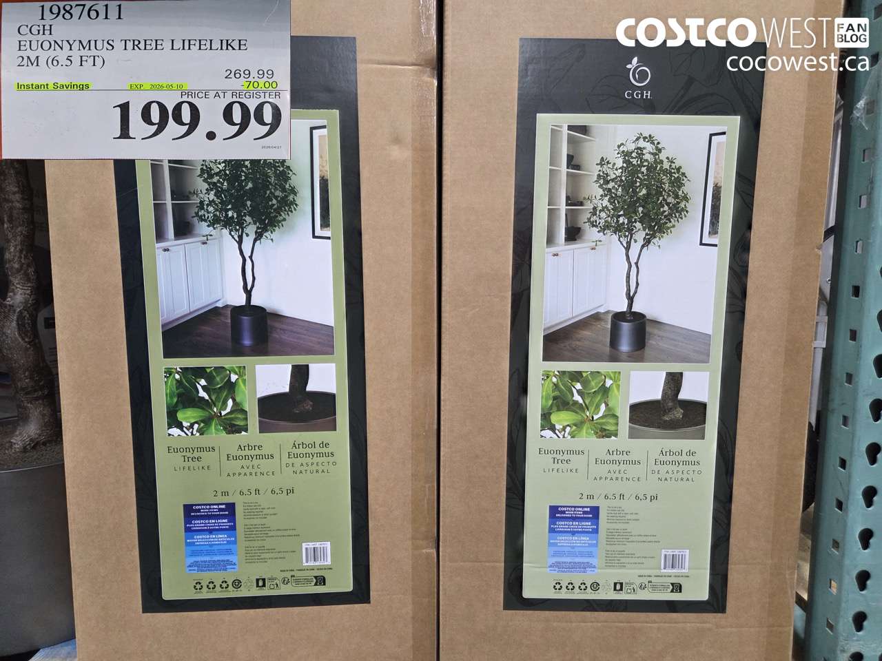 19876111 CGH EUONYMUS TREE LIFELIKE 2M (6.5 FT) ($70.00 INSTANT SAVINGS EXPIRES ON 2026-05-10) $199.99